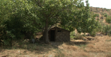 The miracle of the blooming apple tree in the Apetnakyan garden