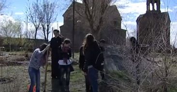 Tree planting project for the Holy Mother of God Church of Malatia